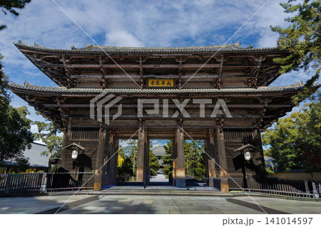 東大寺 141014597