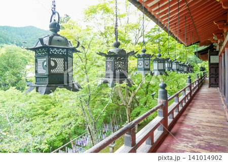 奈良県桜井市 新緑の談山神社の拝殿の外回りの灯籠の眺め 奈良県桜井市 新緑の談山神社の拝殿の外回りの灯籠の眺め 141014902