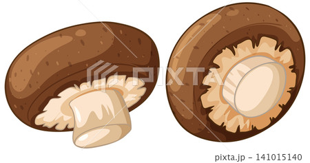 Fresh Brown Button Mushrooms Vector Illustration Isolated on White 141015140
