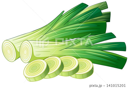 Fresh Green Leek Vector Illustration with Sliced Vegetable Rounds 141015201
