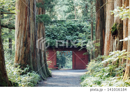 【長野市戸隠】戸隠神社奥社 随神門と杉並木の風景 【長野市戸隠】戸隠神社奥社 随神門と杉並木の風景 141016184