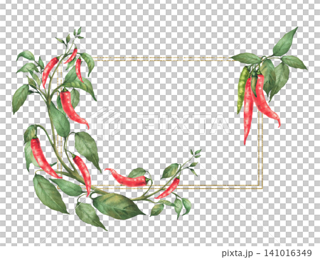Hot Chili pepper plant frame. Watercolor painting of botanical red pods and green leaves on the branch Illustration of vegetables gold framed rectangular template for food seasoning. Isolated on white 141016349
