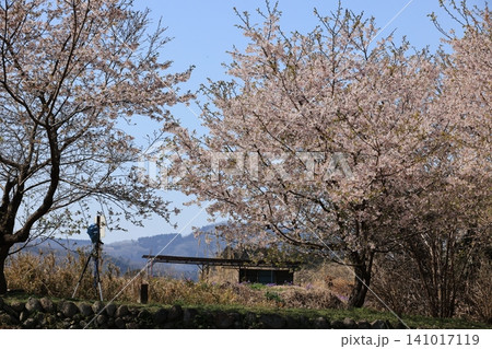 埼玉県大里郡寄居町の鉢形城趾の風景 埼玉県大里郡寄居町の鉢形城趾の風景 141017119