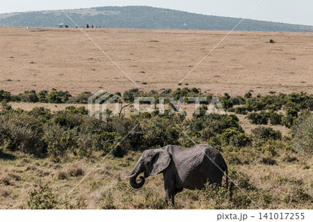 Kenya Photographers By Antony Trivet Photography Kenya Photographers By Antony Trivet Photography 141017255
