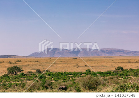 Kenya Photographers By Antony Trivet Photography 141017349