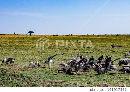 Kenya Photographers By Antony Trivet Photography Kenya Photographers By Antony Trivet Photography 141017551