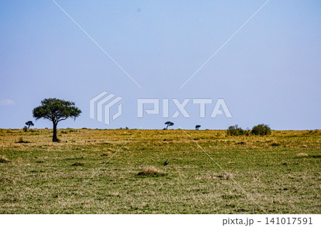 Kenya Photographers By Antony Trivet Photography 141017591