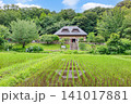 夏の緑豊かな田園風景 141017881