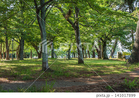 膳所城跡公園　滋賀県大津市 141017899