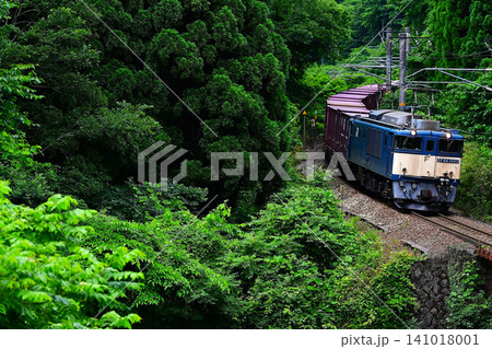 伯備線 貨物列車(EF64 1043) 伯備線 貨物列車(EF64 1043) 141018001