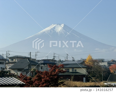 富士吉田の住宅地と紅葉越しに望む雪化粧の富士山 141018257