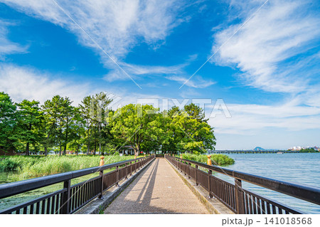 膳所城跡公園　滋賀県大津市 141018568