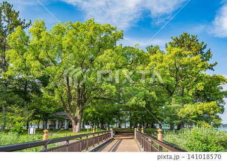 膳所城跡公園　滋賀県大津市 141018570