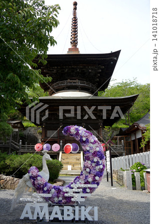 雨引観音 多宝塔 紫陽花祭り 雨引観音 多宝塔 紫陽花祭り 141018718