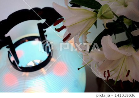 お盆の提灯とお供えの百合の花 お盆の提灯とお供えの百合の花 141019036