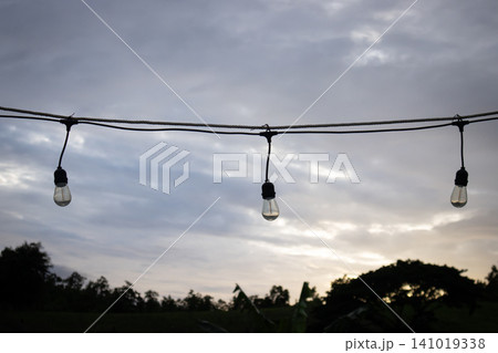 String light bulb against cloudy dusk sky, outdoor garden silhouette at sunset 141019338