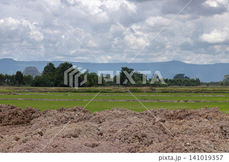 Soil mound green field cloudy sky mountain range rural landscape tree line farmland horizon brown earth grass field nature scene 141019357