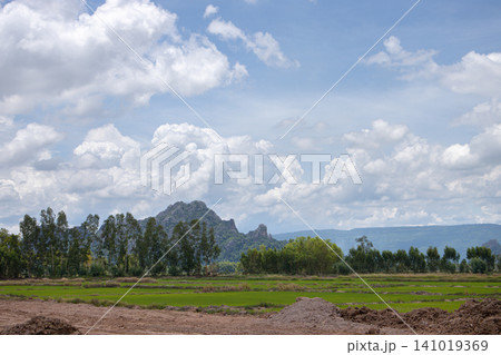 Cloudy sky green field mountain range rural landscape tree line dirt road grass field blue sky scenic view open land 141019369