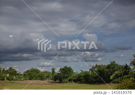 Cloudy sky rural landscape green tree open field storm cloud blue sky natural scenery countryside view wide horizon overcast weather 141019370