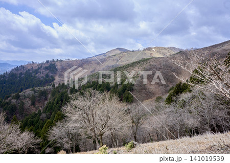 三重県いなべ市・竜ヶ岳山頂のトレッキングコース 鈴鹿セブンマウンテン 三重県いなべ市・竜ヶ岳山頂のトレッキングコース 鈴鹿セブンマウンテン 141019539