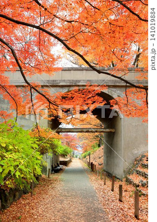 上田城跡公園の紅葉 141019884