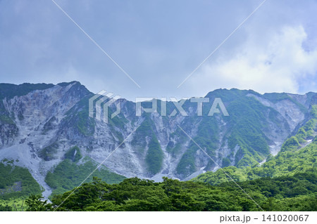5月の新緑と日本百名山・大山の弥山・剣ヶ峰（夏山登山道より） 141020067