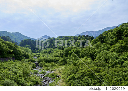 5月の新緑と日本百名山・大山の弥山・剣ヶ峰(夏山登山道より) 5月の新緑と日本百名山・大山の弥山・剣ヶ峰(夏山登山道より) 141020069
