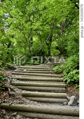 5月の新緑と日本百名山・大山の弥山・剣ヶ峰（夏山登山道より） 141020070