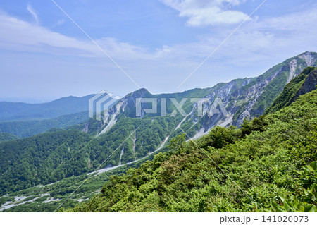 5月の新緑と日本百名山・大山の弥山・剣ヶ峰（夏山登山道より） 141020073