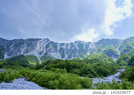5月の新緑と日本百名山・大山の弥山・剣ヶ峰（夏山登山道より） 141020077