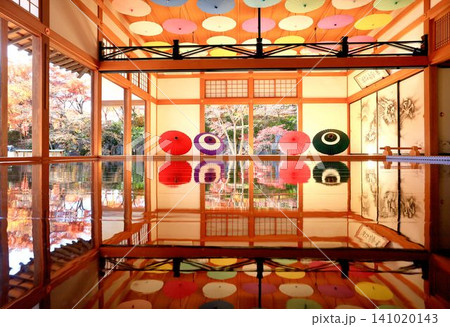 宝徳寺の床もみじ 宝徳寺の床もみじ 141020143