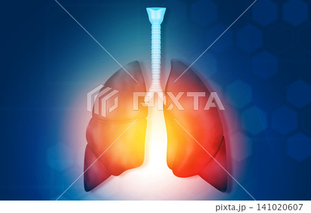 Anatomy of Human lungs 141020607