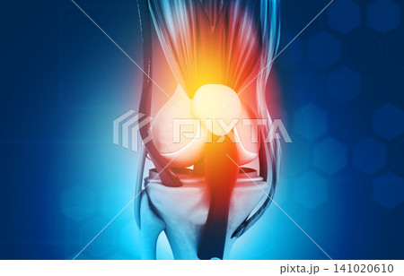 Anatomy of knee joint Anatomy of knee joint 141020610