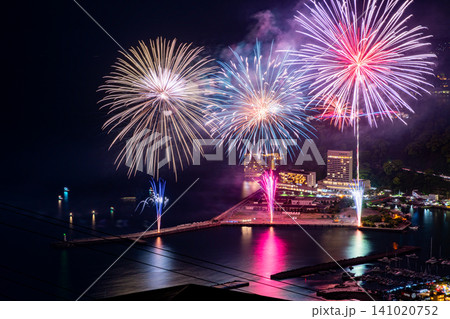 【静岡県】熱海100万ドルの夜景と海上花火大会 【静岡県】熱海100万ドルの夜景と海上花火大会 141020752