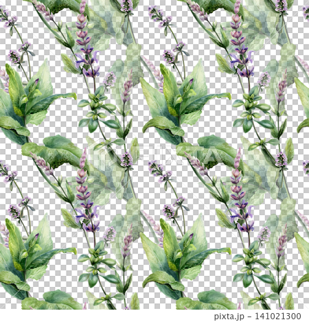 Sage and thyme mix seamless pattern watercolor illustration. Botanical herbs blend for organic cough syrup pharmacy branding, throat sore remedy packaging, antiinflammatory medical wellness tea print. Sage and thyme mix seamless pattern watercolor illustration. Botanical herbs blend for organic cough syrup pharmacy branding, throat sore remedy packaging, antiinflammatory medical wellness tea print. 141021300