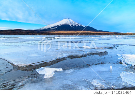 冬の快晴 山中湖の長池親水公園から望む凍結した様々な形の氷と積雪した富士山の風景 冬の快晴 山中湖の長池親水公園から望む凍結した様々な形の氷と積雪した富士山の風景 141021464
