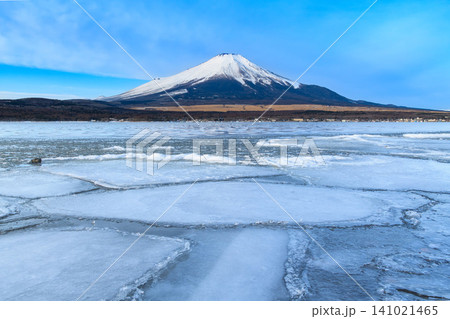 冬の快晴 山中湖の長池親水公園から望む凍結した様々な形の氷と積雪した富士山の風景 141021465