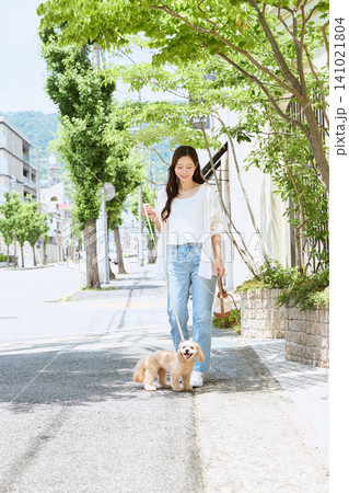 新緑の街路で愛犬のトイプードルと散歩する笑 新緑の街路で愛犬のトイプードルと散歩する笑 141021804