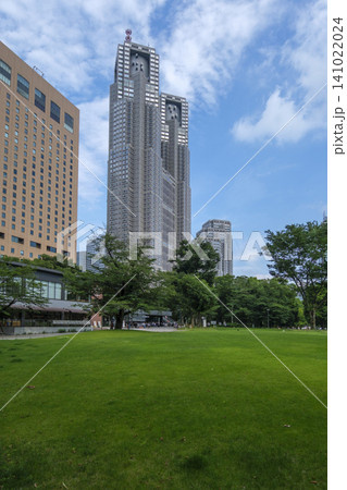 新宿中央公園の芝生広場 シュクノバと東京都庁 : 東京都新宿区西新宿 新宿中央公園の芝生広場 シュクノバと東京都庁 : 東京都新宿区西新宿 141022024