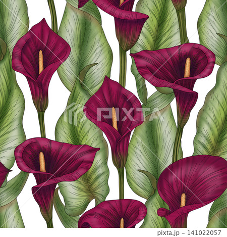 Hand drawn watercolor calla lilies. Seamless pattern with calla flowers, design elements. Floral pattern for invitations, cards, print, gift wrap, manufacturing, textile, fabric, wallpapers 141022057