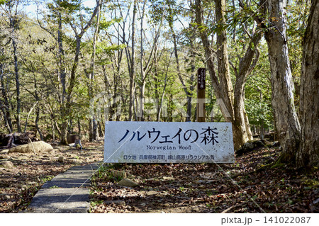 秋風に揺れるススキの群生と木道 兵庫県・砥峰高原と峰山高原 秋風に揺れるススキの群生と木道 兵庫県・砥峰高原と峰山高原 141022087