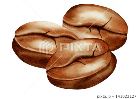 Watercolor illustration of coffee beans. Coffee bean set. A set of watercolor illustrations for coffee shops, cafes, packaging, menus, and product design. 141022127