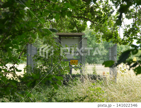 Electrical distribution box with outdoor light in forest Electrical distribution box with outdoor light in forest 141022346