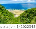 沖縄県国頭村奥の風景 141022348