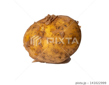 Potato with dirt on its skin sits on a white surface in bright light Potato with dirt on its skin sits on a white surface in bright light 141022999