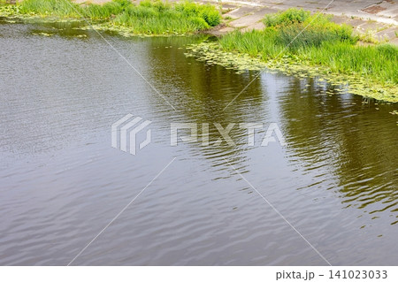 Water flows gently in a river surrounded by grass and plants during a bright day in a natural setting 141023033