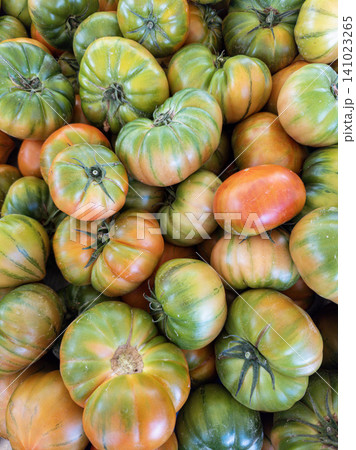 Fresh organic heirloom tomatoes are displayed at a local market. They show a range of colors from green to orange and red, indicating their ripeness. Shoppers can see the variety available. Fresh organic heirloom tomatoes are displayed at a local market. They show a range of colors from green to orange and red, indicating their ripeness. Shoppers can see the variety available. 141023265