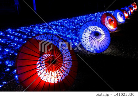 大宮氷川神社 青いイルミネーションとライトアップされた鮮やかな和傘の列 大宮氷川神社 青いイルミネーションとライトアップされた鮮やかな和傘の列 141023330