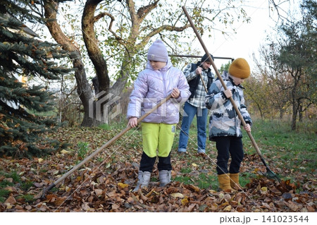 Young father, pre-teen daughter and son in warm autumn clothes spending quality time together among fallen leaves. Happy family enjoying the beauty of fall, playful moments and family life outdoors Young father, pre-teen daughter and son in warm autumn clothes spending quality time together among fallen leaves. Happy family enjoying the beauty of fall, playful moments and family life outdoors 141023544
