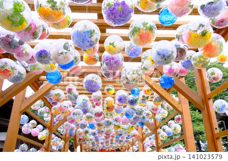 さいたま市・青葉園の頭上を彩る爽やかで美しいフラワーバブル さいたま市・青葉園の頭上を彩る爽やかで美しいフラワーバブル 141023579